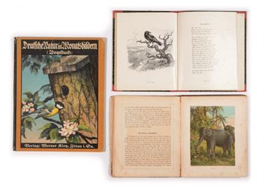 Otto Speckters Vogelbuch, Herzblättchens Naturgeschichte, Dt.Natur in Monatsbildern