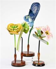 3 Blütenmodelle, Blauer Eisenhut, Seidelbast + Hahnenfuß nach Art von R. Brendel