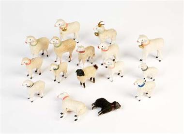 16 Schafe